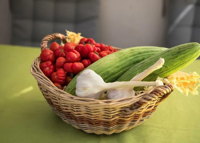 Traditional Farmers Caves Appartamento *