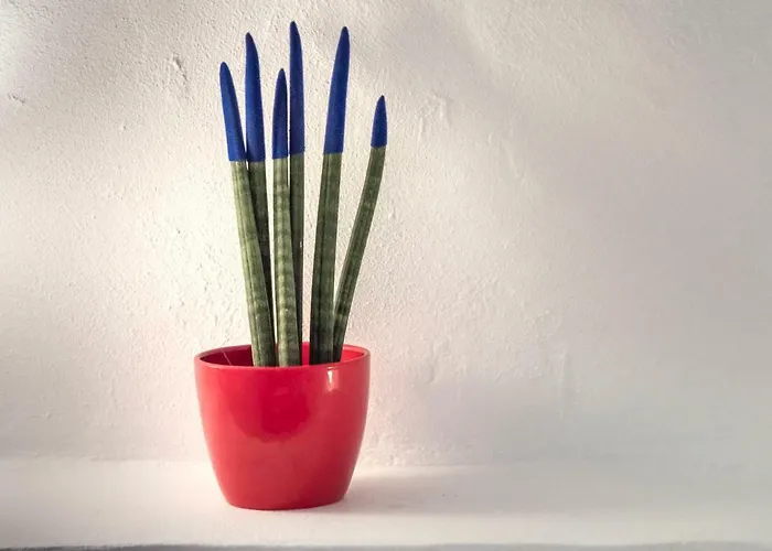 Appartamento Traditional Farmers Caves *